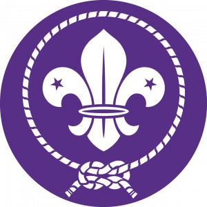WOSM — World Organization of the Scout Movement